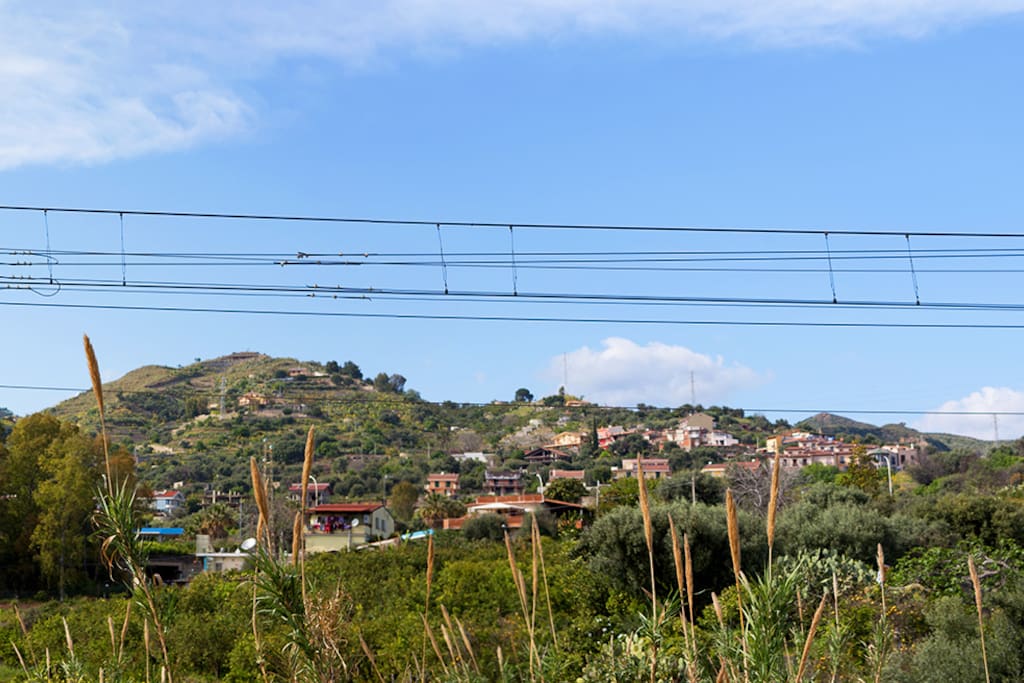 Hills and Savoca