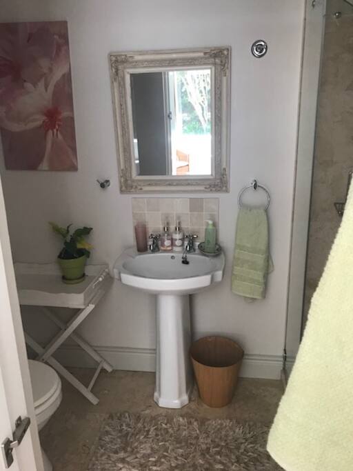 Built in toilet and shower