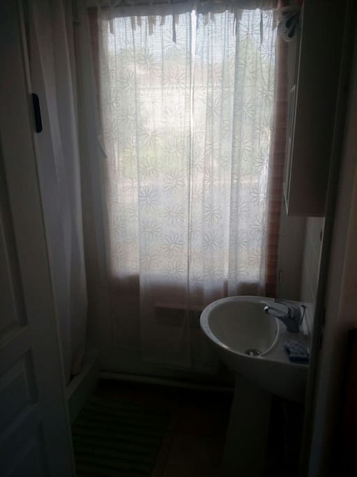 salle d'eau privative, vous avez une douche et un lavabo pour vous. tapis de bain fourni. vous apportez votre serviette de toilette, sinon je peux vous en louer.
