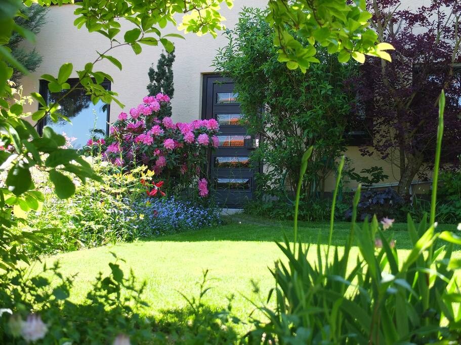 Eingangstür und Garten