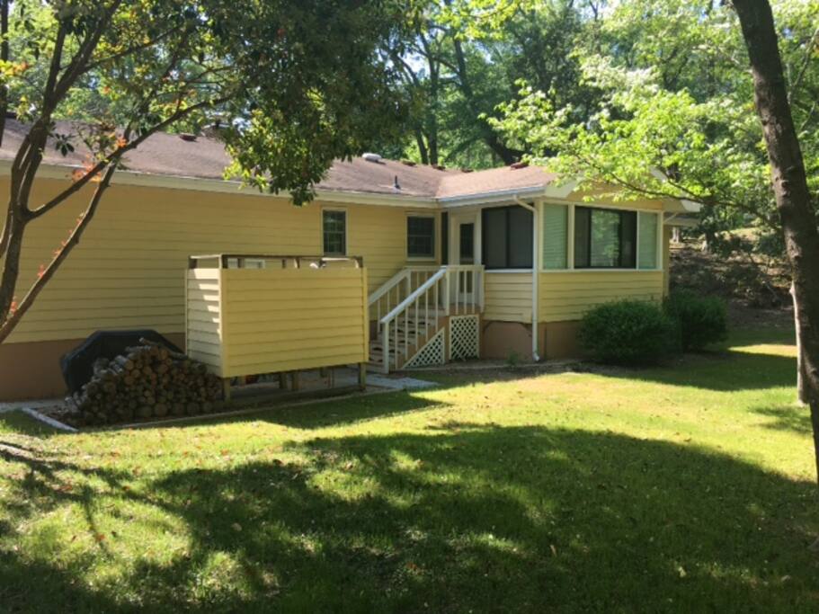 Back yard