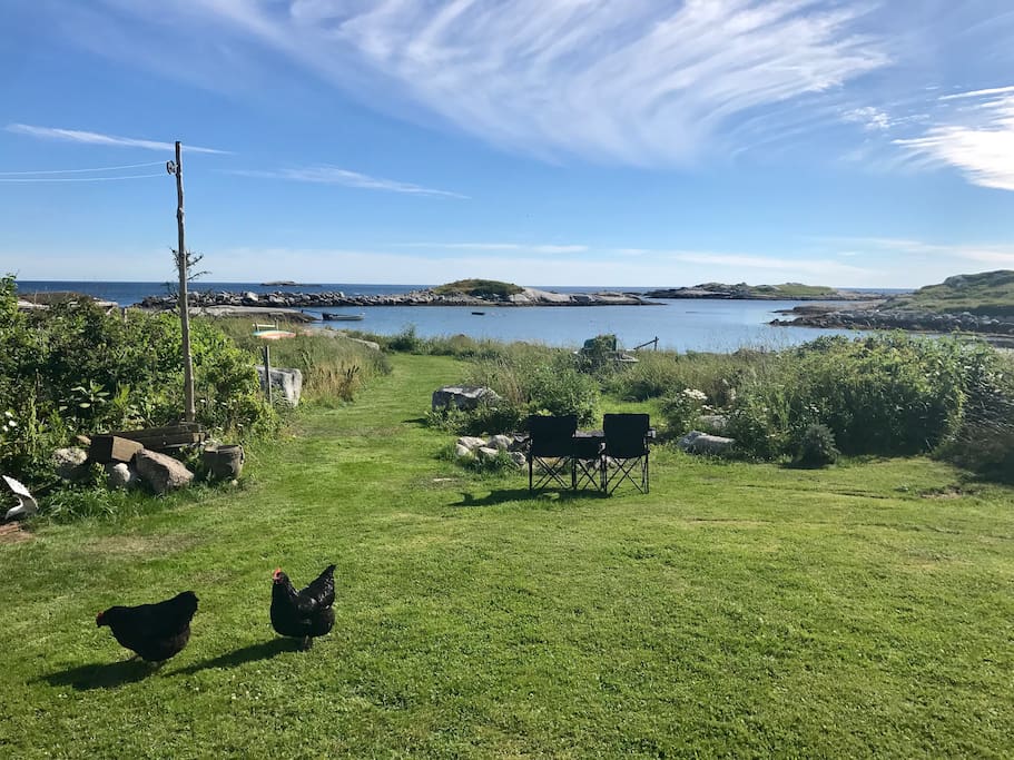 back yard, and chickens (providing you with fresh eggs)