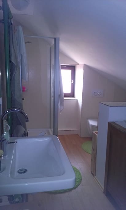 Duschbad mit WC