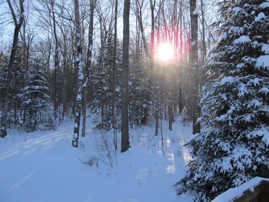 Back yard and snowshoe trails