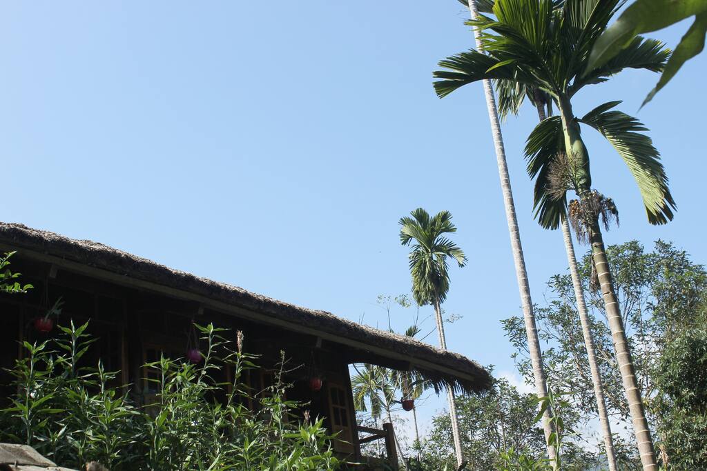 The House