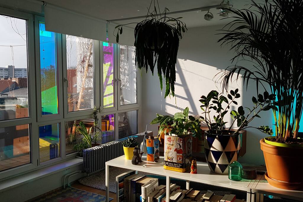 window front with dichro effect