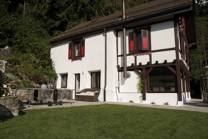 Montreux home with a view gallery image 3