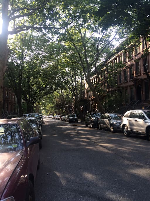 Tree-lined block