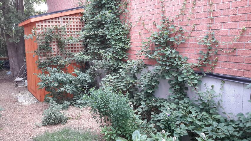 Maison de ville avec jardin