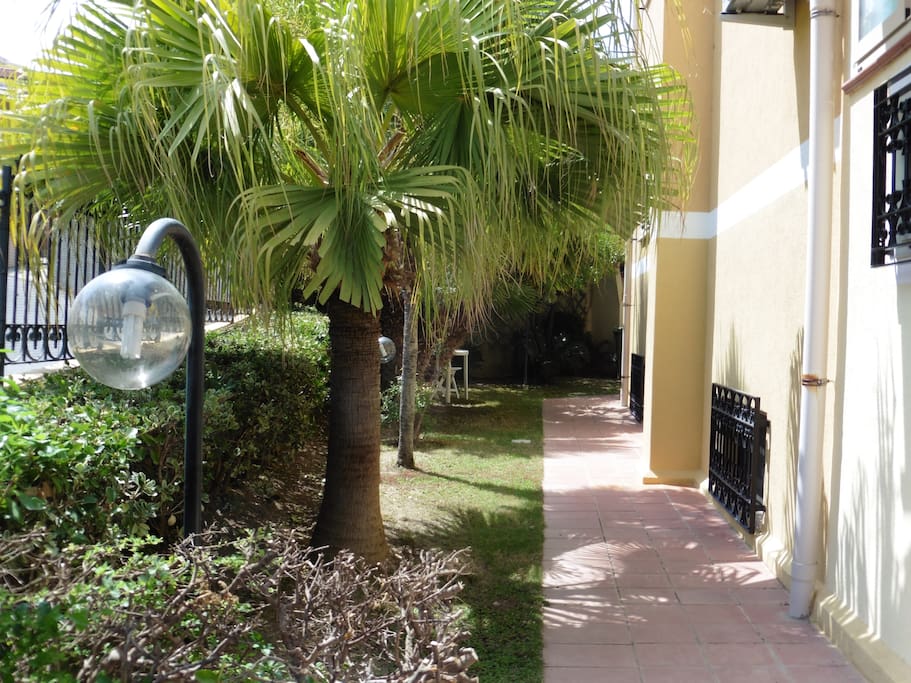 Scorcio di giardino attiguo all'ingresso