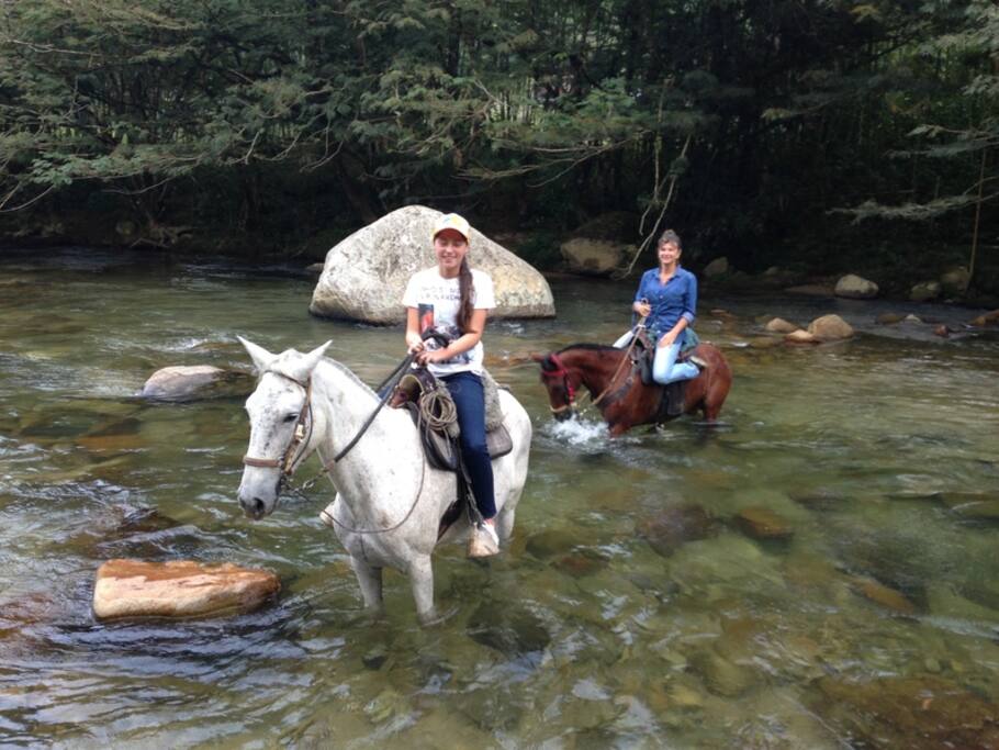 Cabalgatas