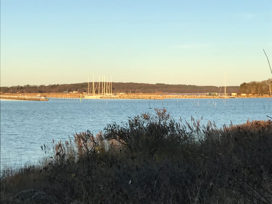 Naturen lige i nærheden