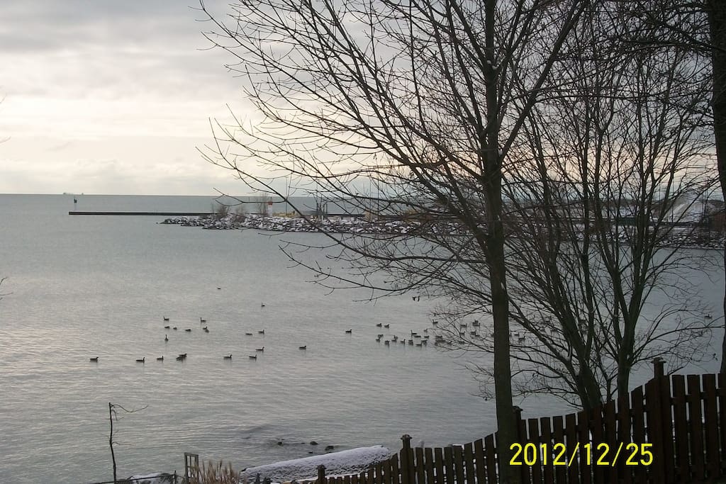 West view - dock to Pelee Island
