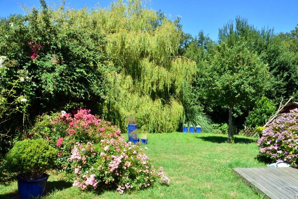 notre joli jardin