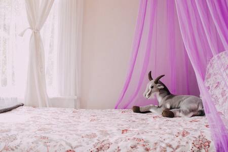 The Little Lavender - Cozy for Solo Travelers!