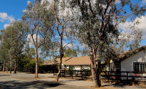 Rancho Del Vinedos Villa in Temecula Wine Country