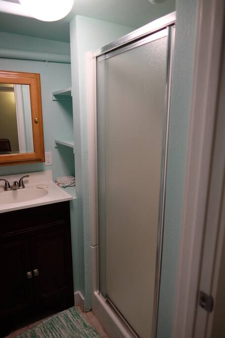 Basement Apartment bathroom