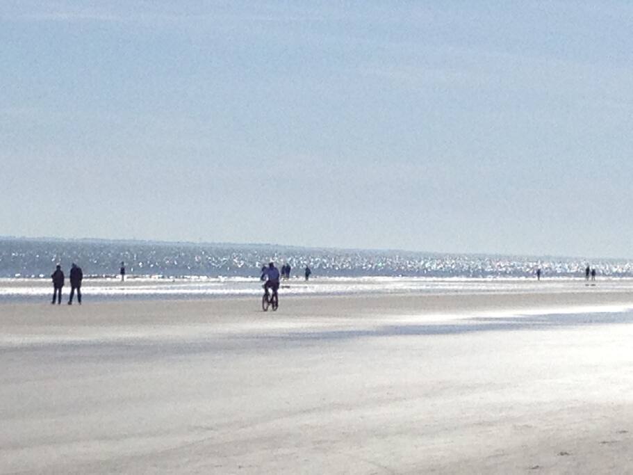 Beach 50 yards away