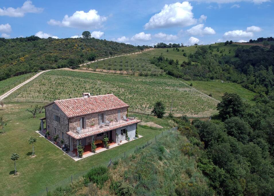 Vignes et oliviers baignés dans un océan de quiétude