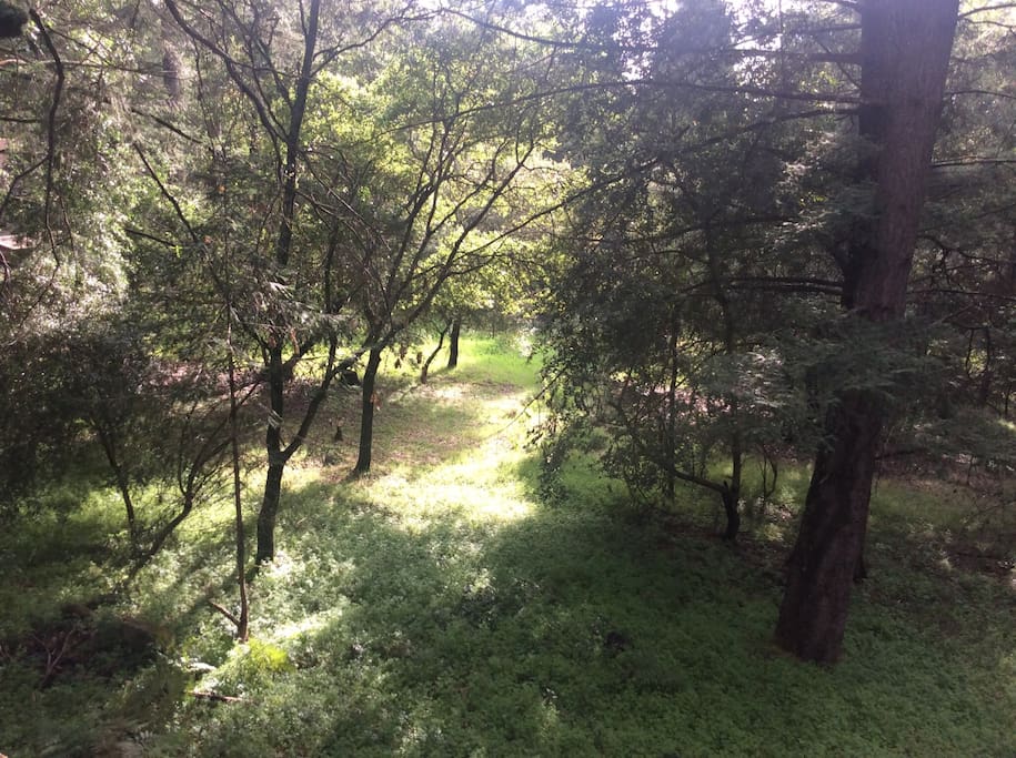 Lots of nature.