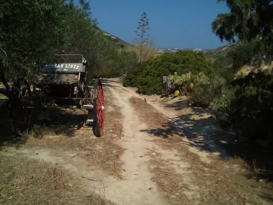 Άγρια Δύση