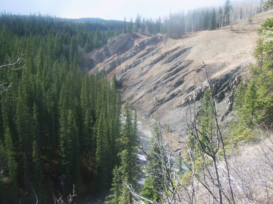 One of the views on Waiparous Creek