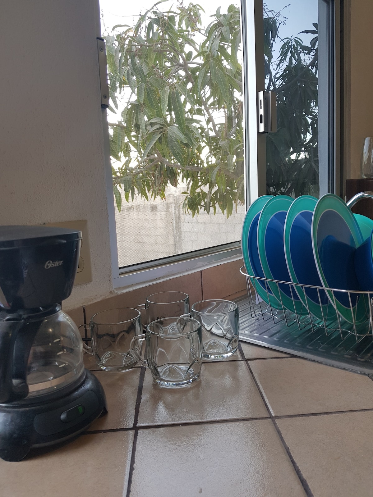 A coffee maker sits next to a drying rack filled with blue and green plates. Several clear glasses are arranged nearby. A window allows natural light to enter, framed by lush greenery outside.