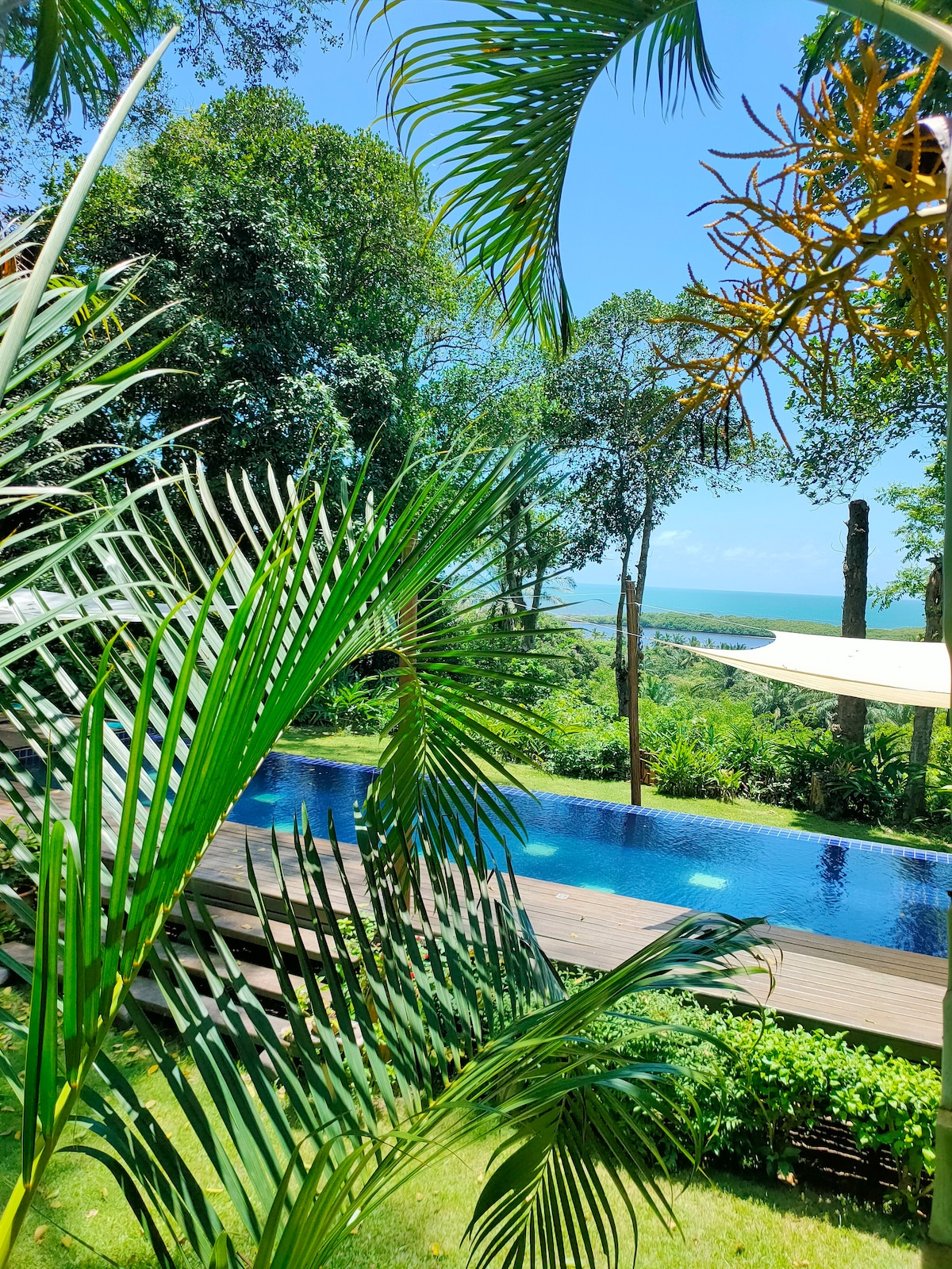 A serene view of a shallow infinity pool is framed by lush green foliage and trees. The pool reflects the clear blue sky and overlooks a landscape of natural beauty, with distant views of the sea and rolling hills.