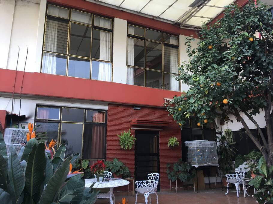 Large windows with lots of light