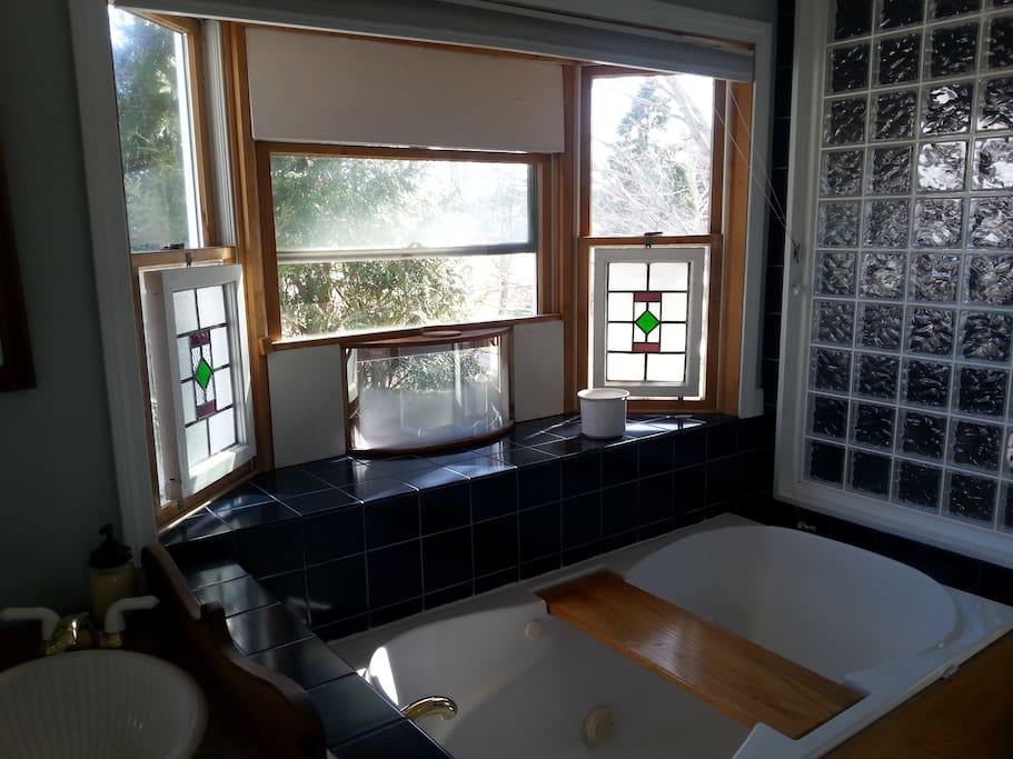 Master bath with jacuzzi tub double shower