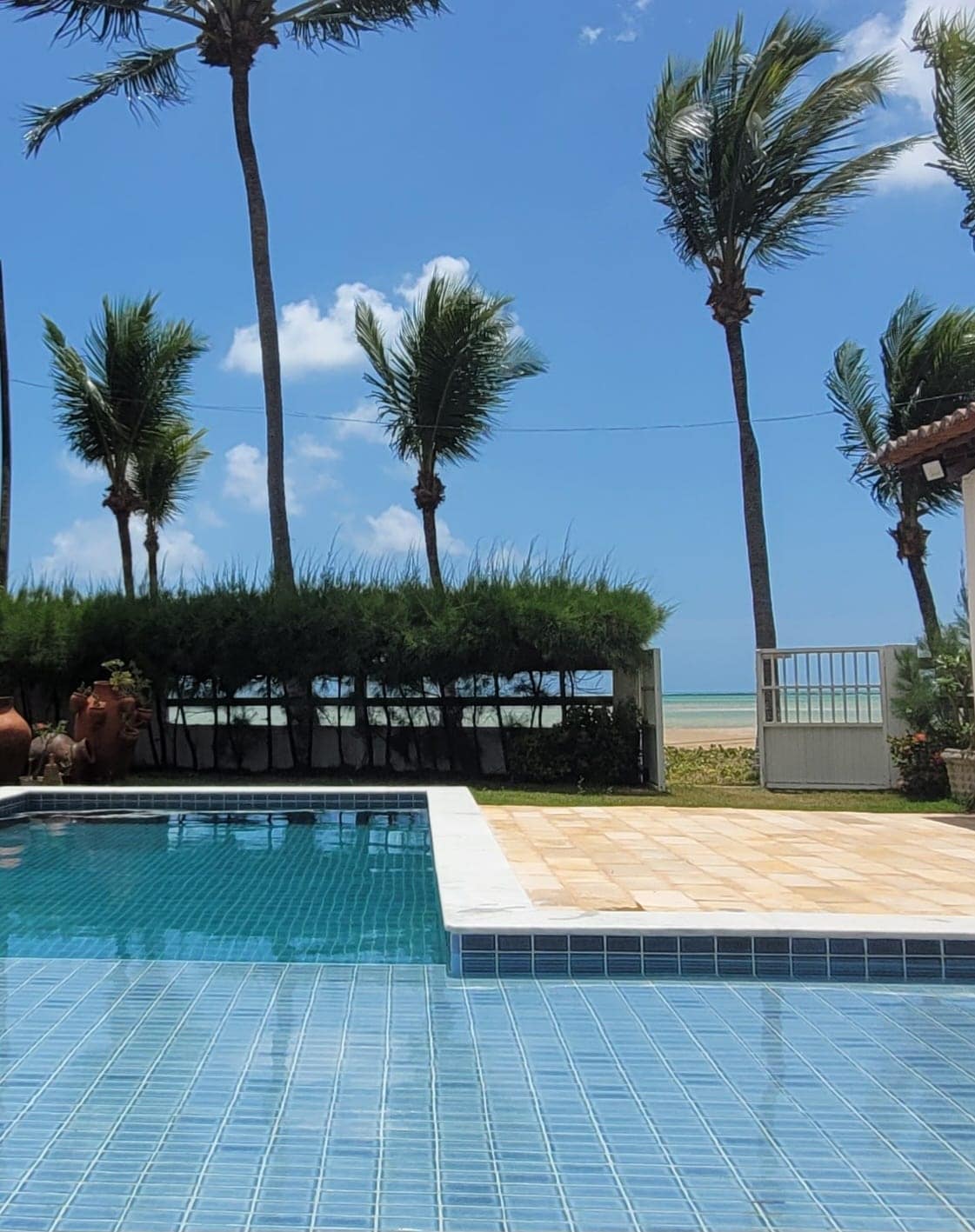 A refreshing pool area is shown, featuring clear water that reflects the sky. Palm trees sway gently in the background, framing a view of the ocean. A well-maintained garden borders the space, enhancing the tranquil outdoor atmosphere.