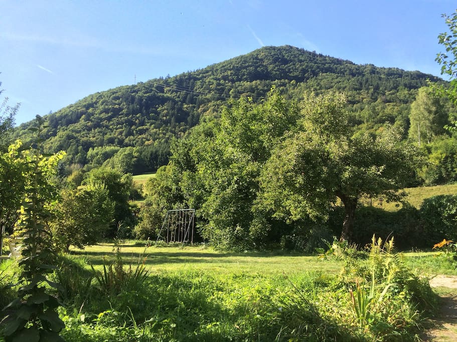 Jardin balançoire et petite montagne