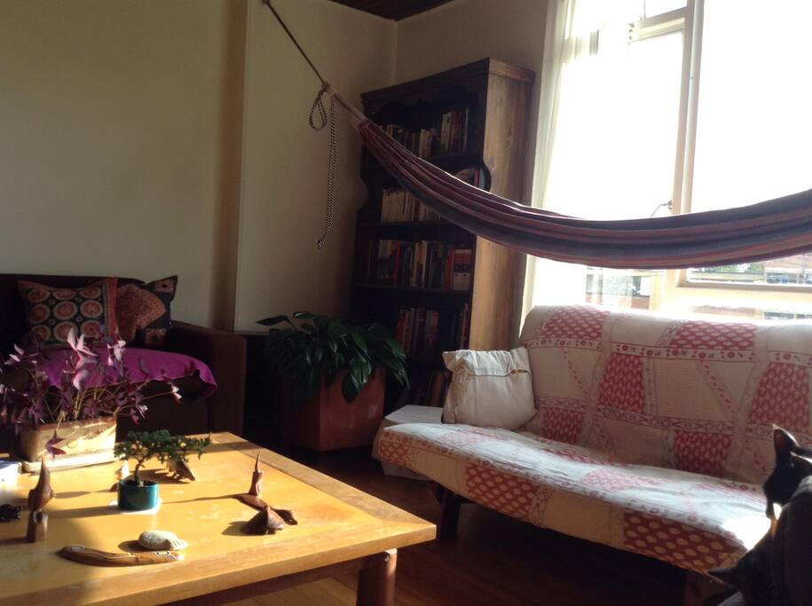 Living room. If needed, someone can sleep in th futon