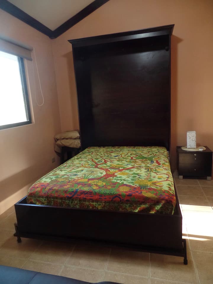 Murphy Bed.