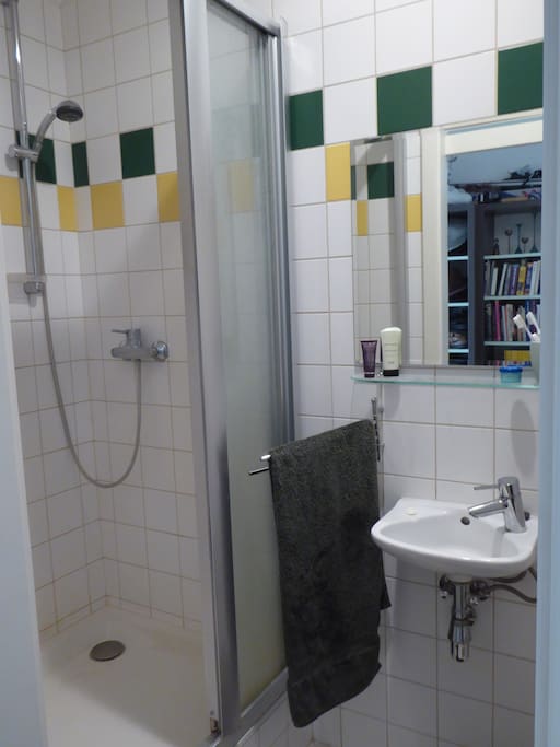 Private bathroom with shower
