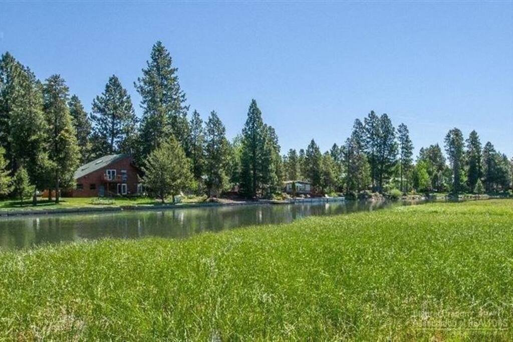 Photo of backyard taken from path