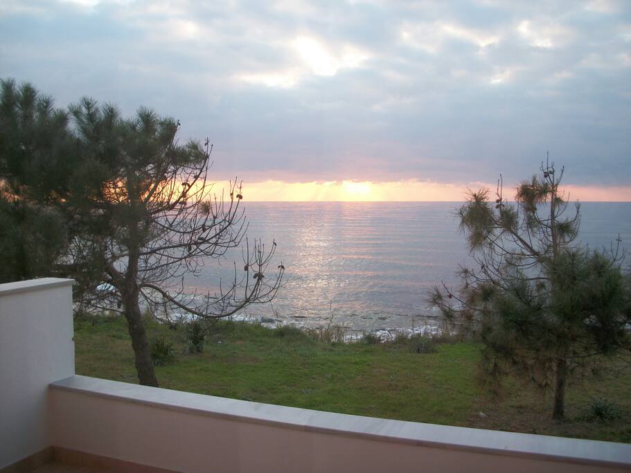 view from the terrace(1)