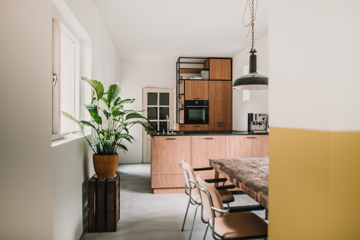 The spacious kitchen features modern wooden cabinetry and a large island with a sleek countertop. A potted plant adds a touch of greenery, while a wooden dining table is surrounded by simple chairs. Light enters through large windows, enhancing the bright and inviting atmosphere.