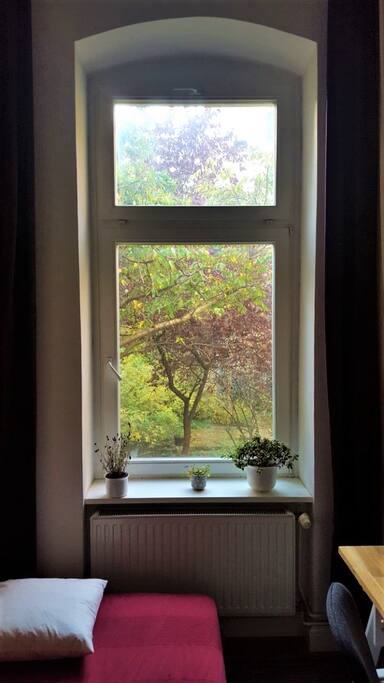 Vista desde dormitorio