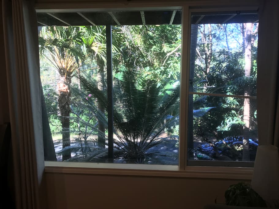 View from your room. Very quiet like you are in the bush.