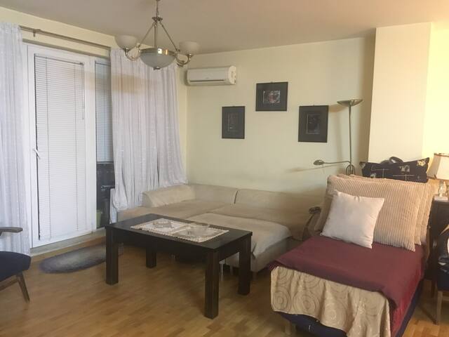 Spacious Accommodation in the Center of Sofia