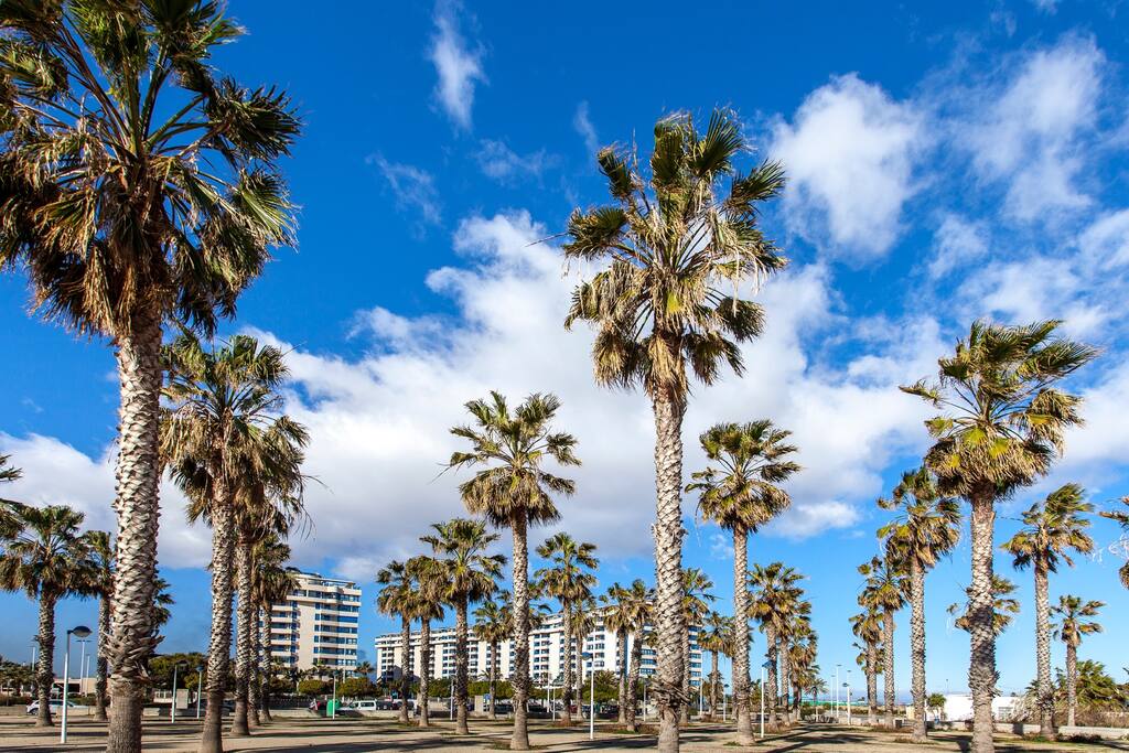 Beach front apartment
