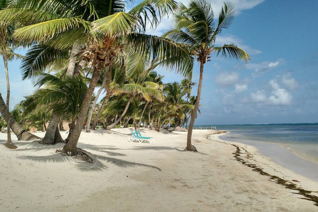 Quiet, peaceful and relaxing...with a view. This is really your beach. I took this with my cell.