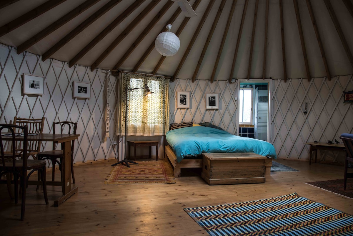 An interior space with a rounded ceiling showcases a spacious bed covered in a light blue blanket. A wooden dining table with chairs is visible beside a window adorned with patterned curtains. Area rugs add texture to the wooden floor, while framed photographs decorate the walls.