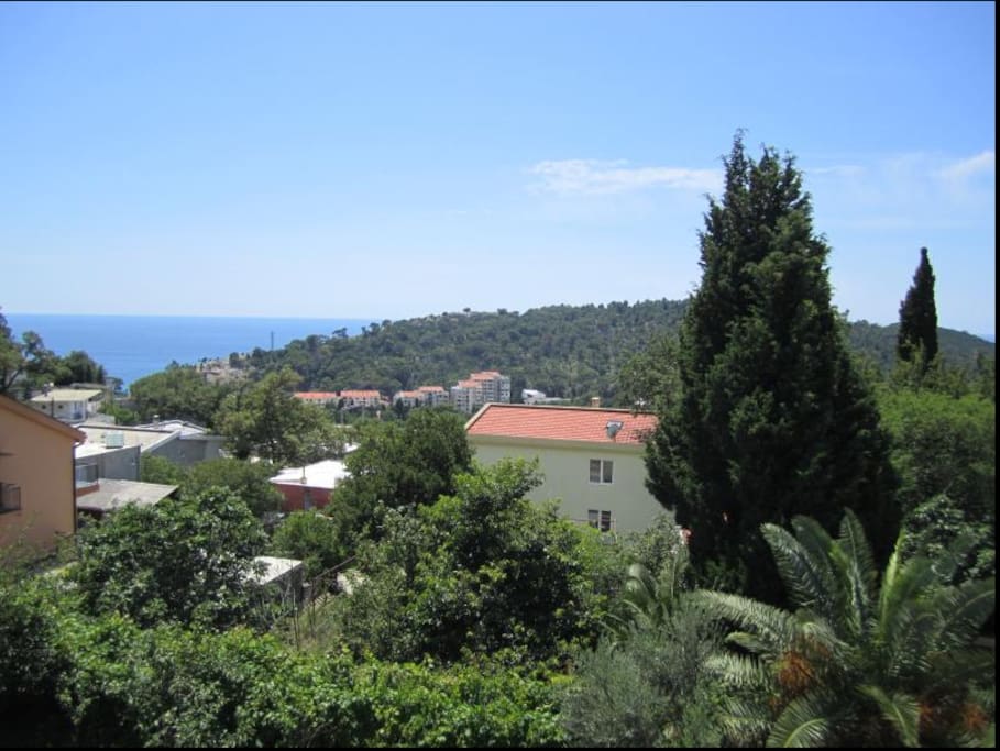 View from joint balcony