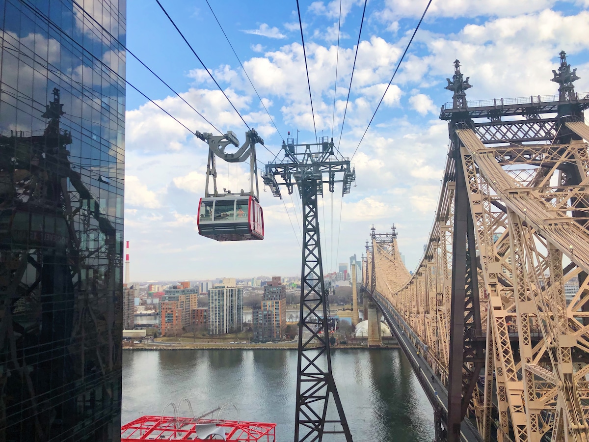 el tiempo en roosevelt nueva york 11575