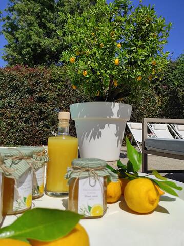 Maresia Trani -Alessandra e Giovanna gallery image 3