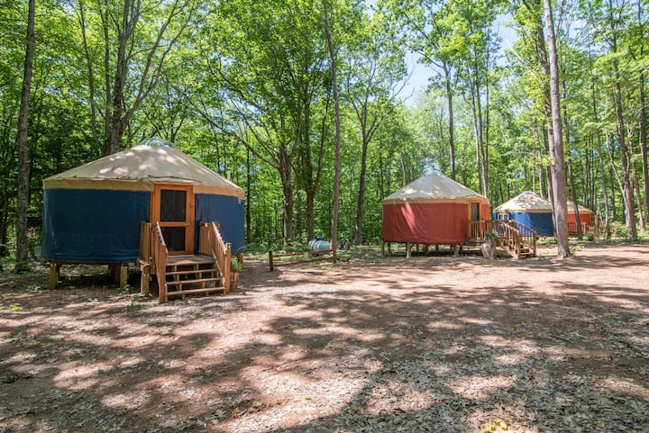 Turtle Yurts - Yurt 3