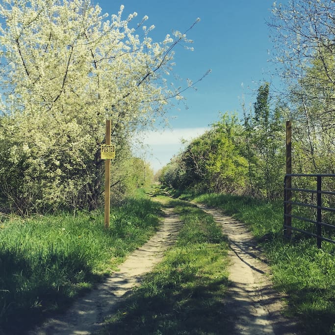 Entrance Gate During Blossom Time