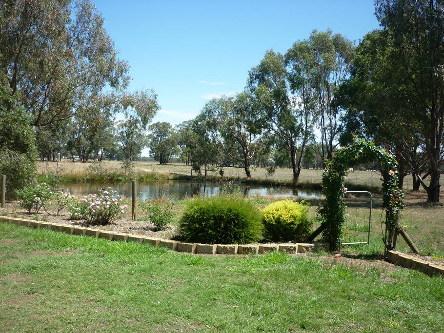 View of front garden with dam and wild birds